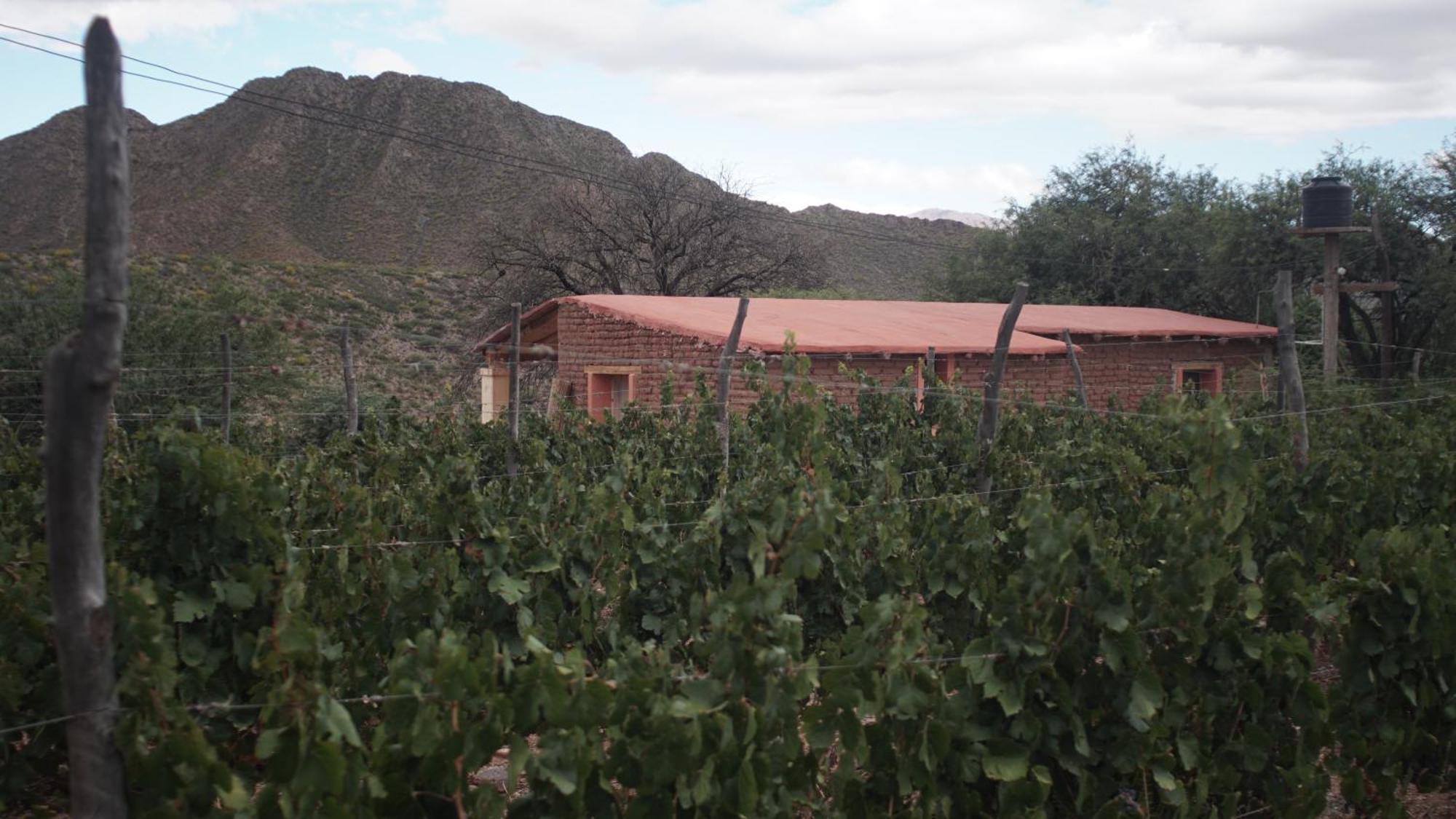 Hospedaje Finca La Encantada Seclantás Extérieur photo